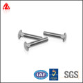 Stainless steel carriage bolt